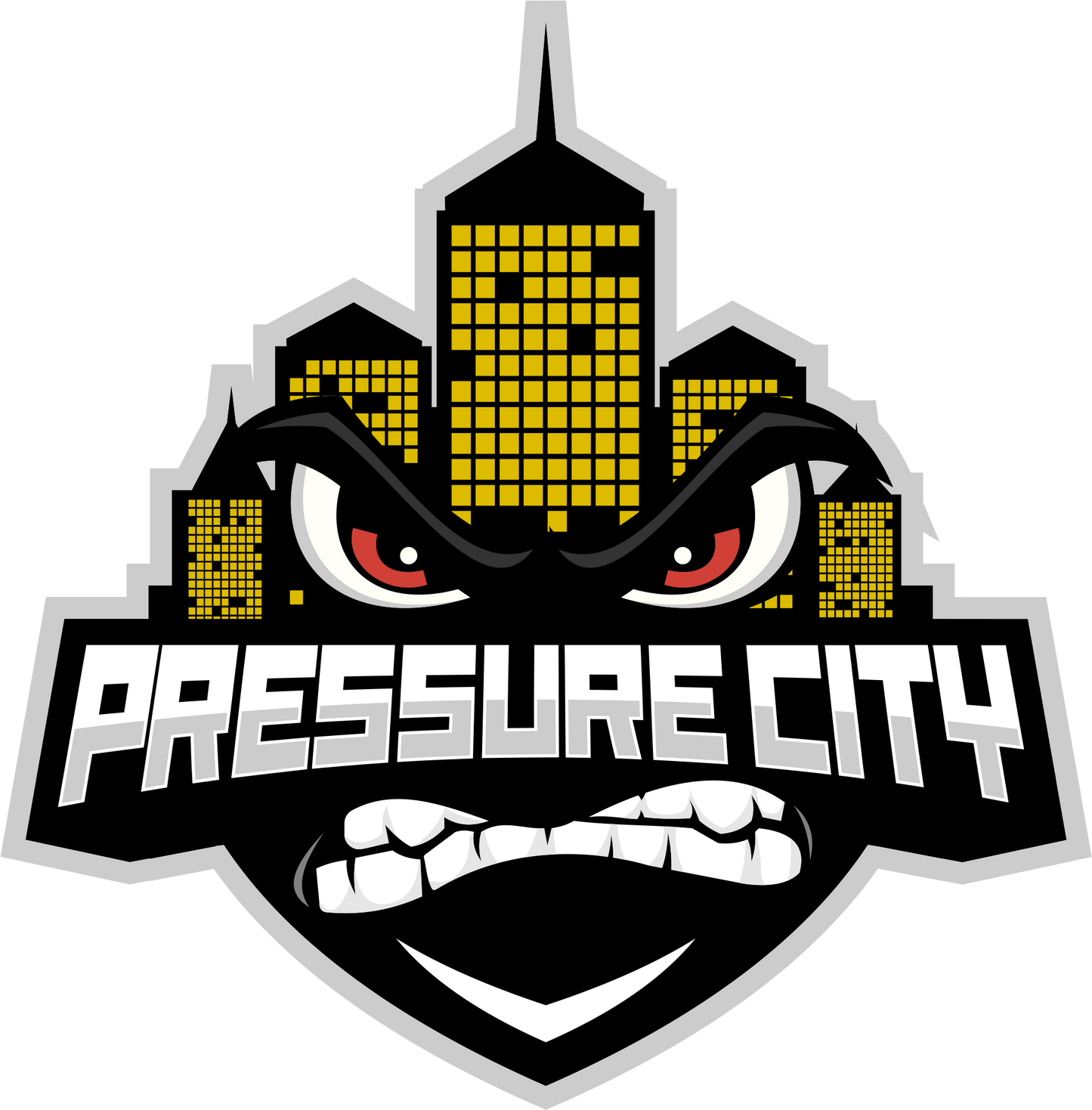 VRT3 Pressure Actuated Unloader - PressureCity